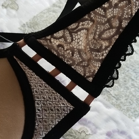 Pleasure State Daria Collection Push-up Plunge Bra - Picture 11 of 12